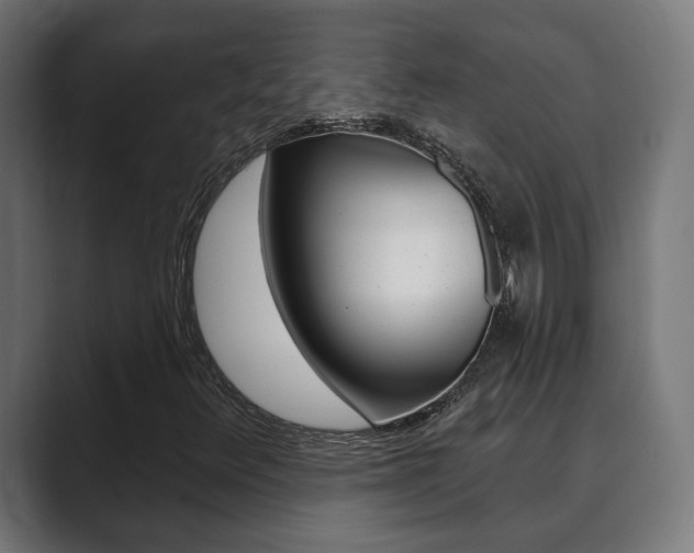 X0000089901348200706281127