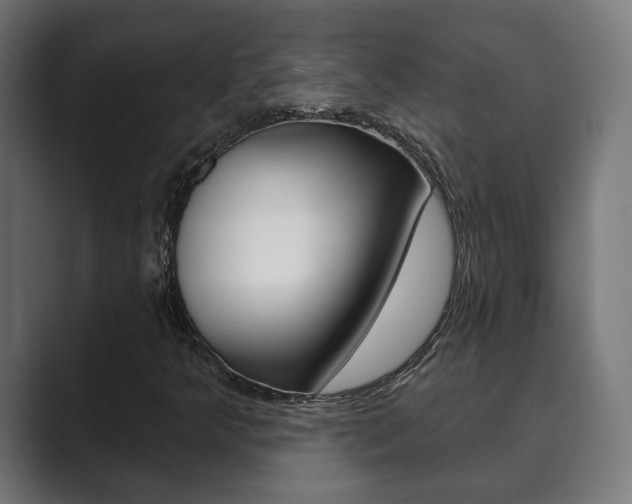 X0000089901349200706281127