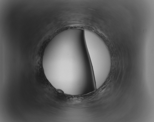 X0000089901351200706281127