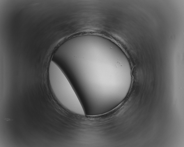 X0000089901355200706281127