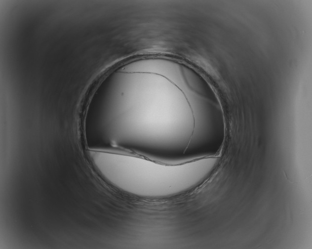 X0000089901356200706281127