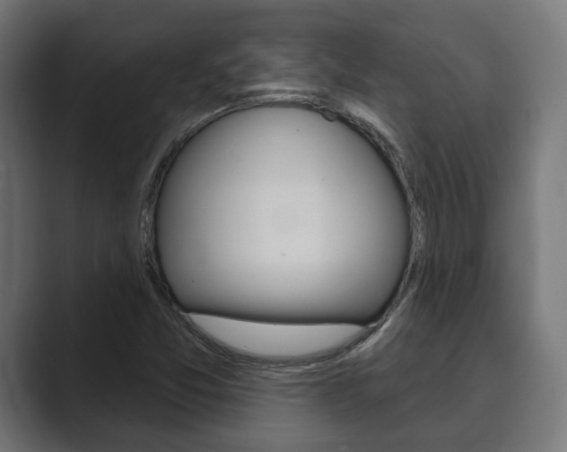 X0000089901357200706281127
