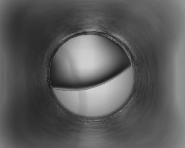 X0000089901359200706281127