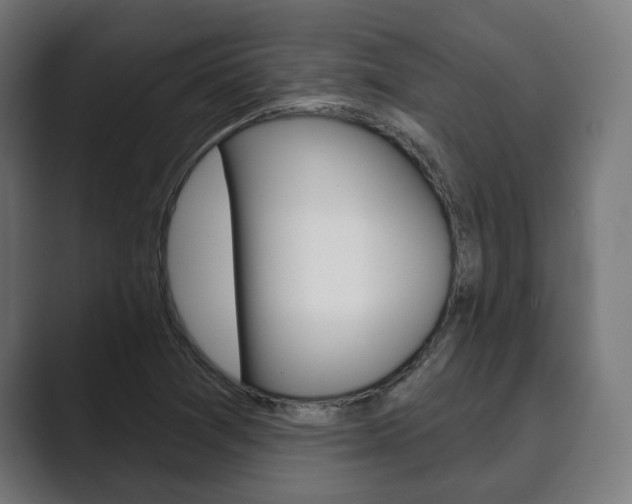 X0000089901361200706281127