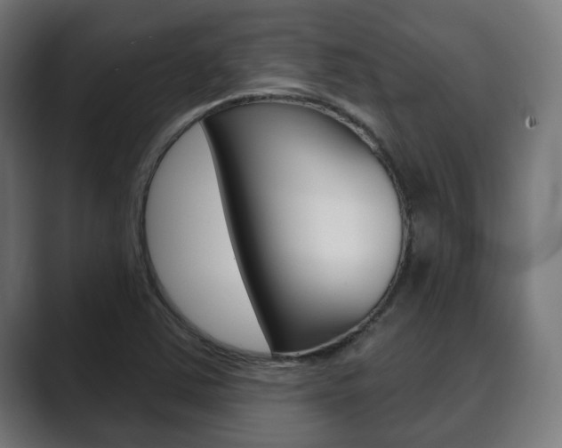 X0000089901363200706281127