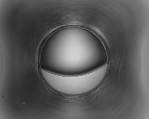 X0000089901364200706281127
