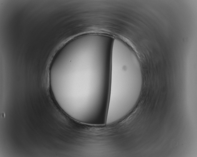 X0000089901371200706281127