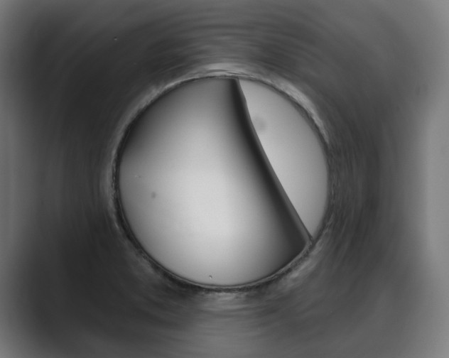X0000089901373200706281127