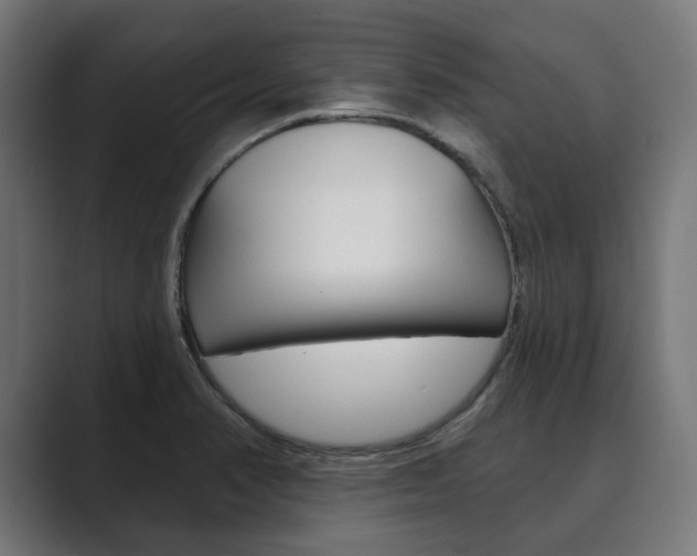 X0000089901374200706281127