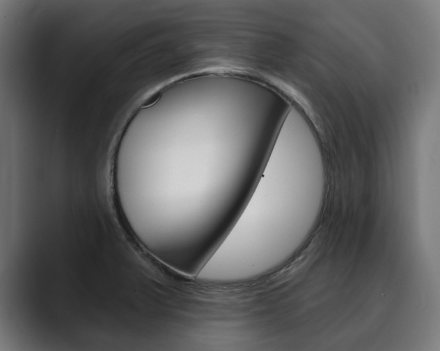 X0000089901375200706281127