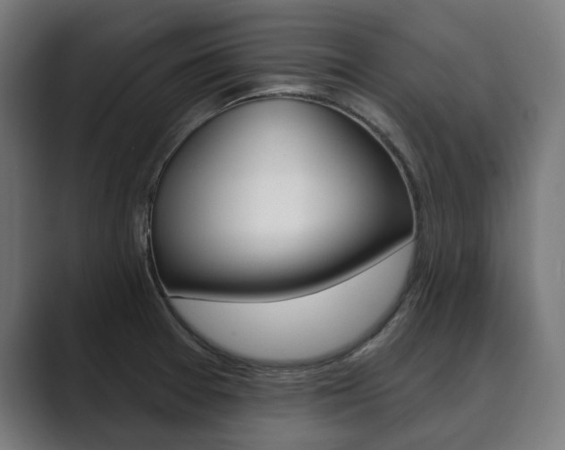 X0000089901377200706281127