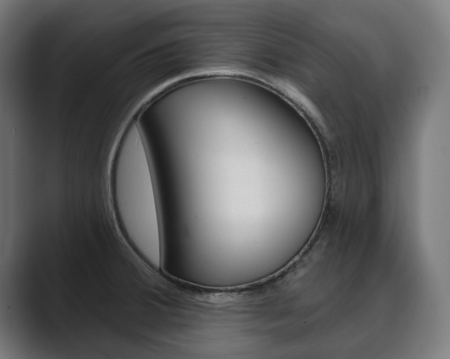 X0000089901380200706281127