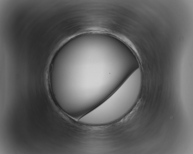 X0000089901381200706281127