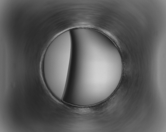 X0000089901383200706281127