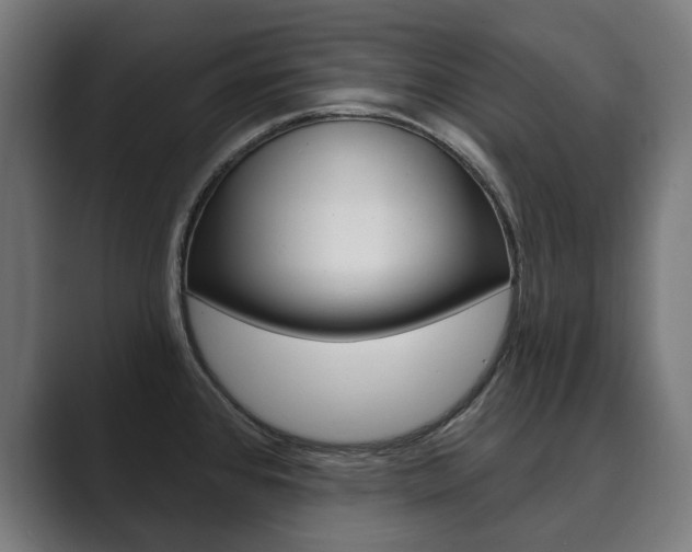 X0000089901384200706281127