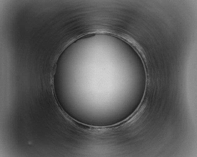 X0000089901385200706281127