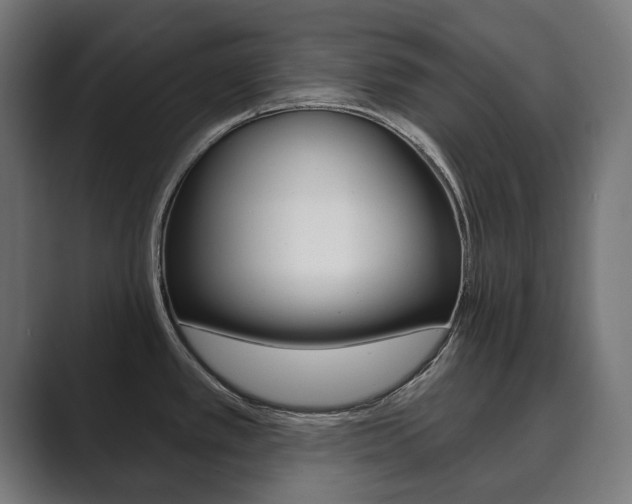 X0000089901389200706281127