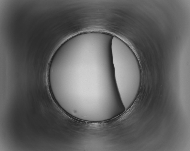 X0000089901390200706281127