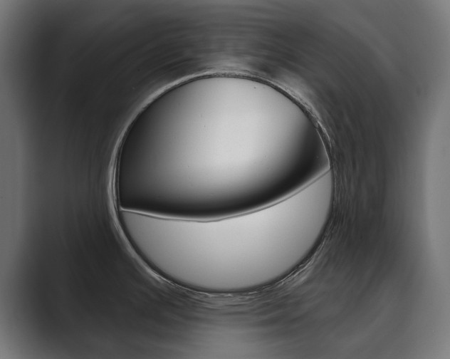 X0000089901391200706281127