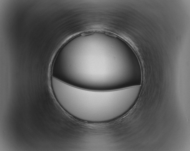 X0000089901392200706281127