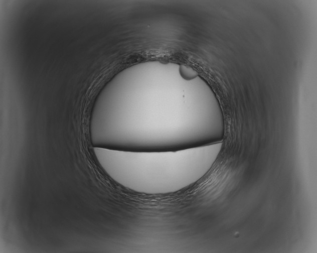 X0000089901393200706281126