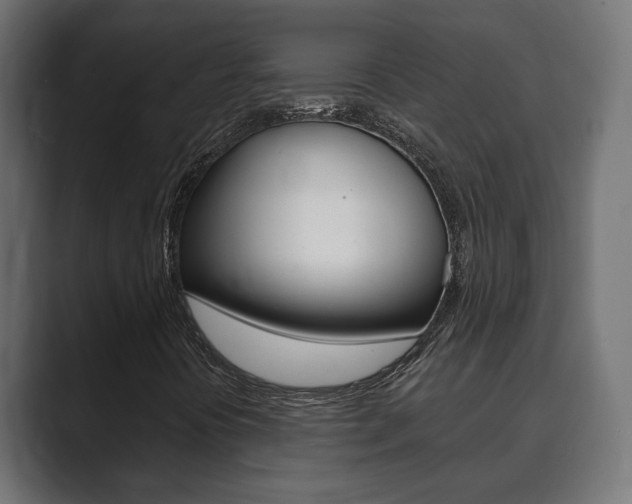 X0000089901394200706281126