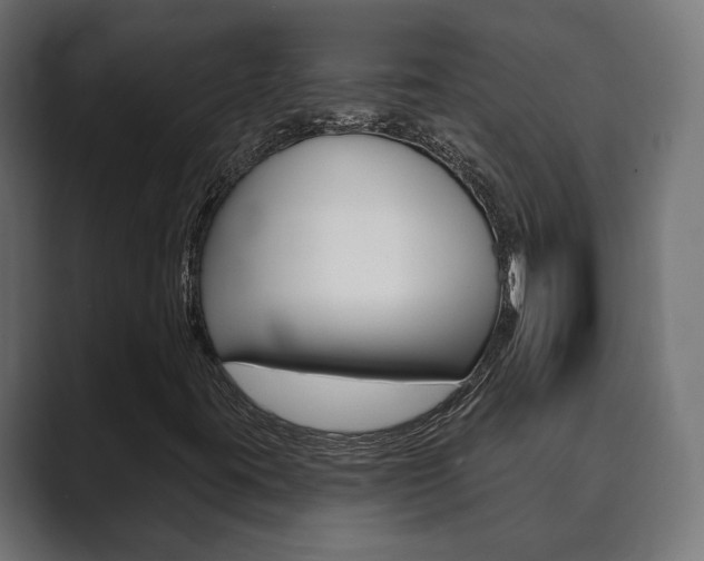 X0000089901395200706281126