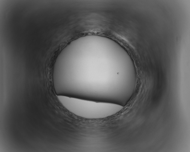 X0000089901399200706281126