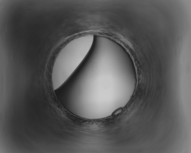 X0000089901400200706281126