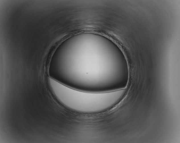 X0000089901402200706281126