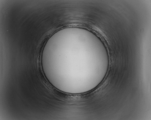 X0000089901403200706281126
