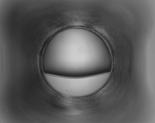 X0000089901404200706281126