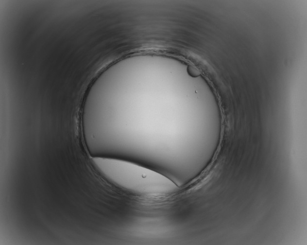 X0000089901409200706281127