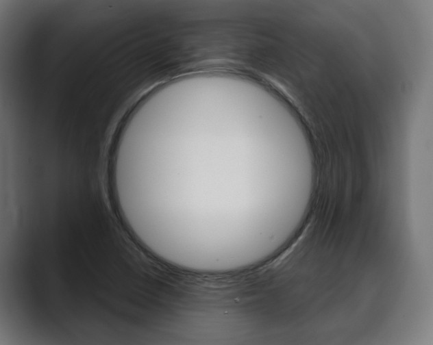 X0000089901410200706281127