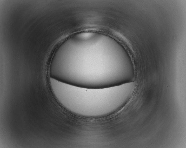 X0000089901411200706281127