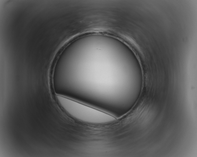 X0000089901412200706281127