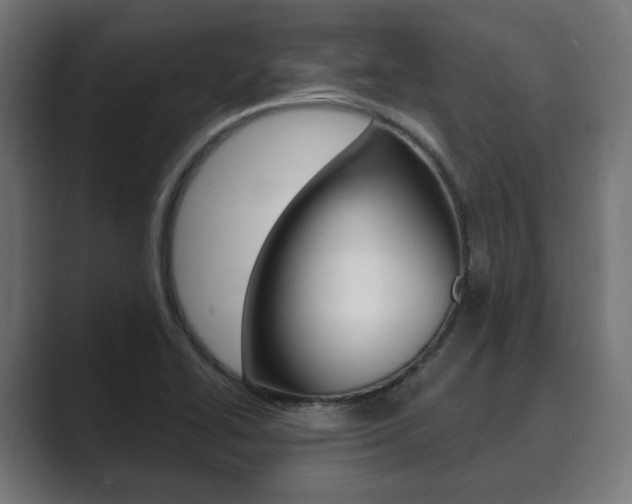 X0000089901414200706281127