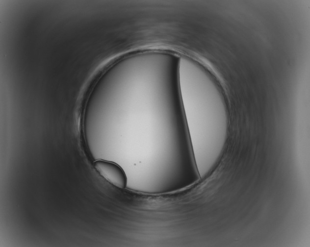X0000089901416200706281127