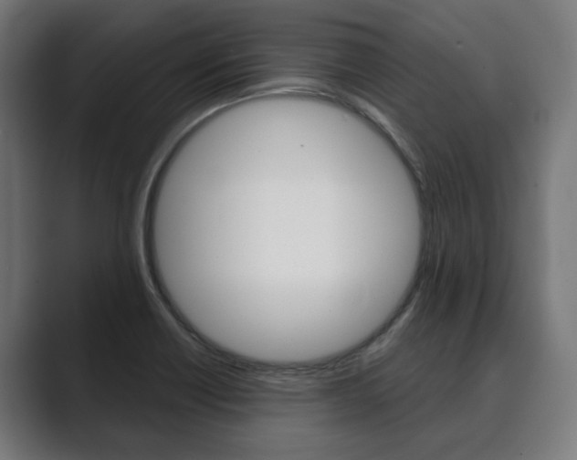 X0000089901418200706281127
