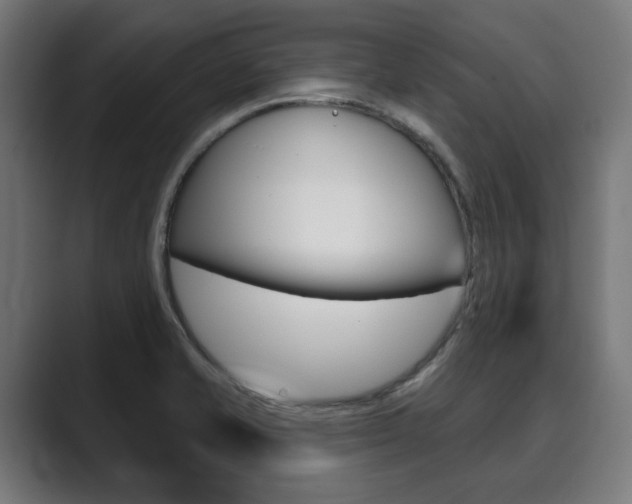 X0000089901421200706281127