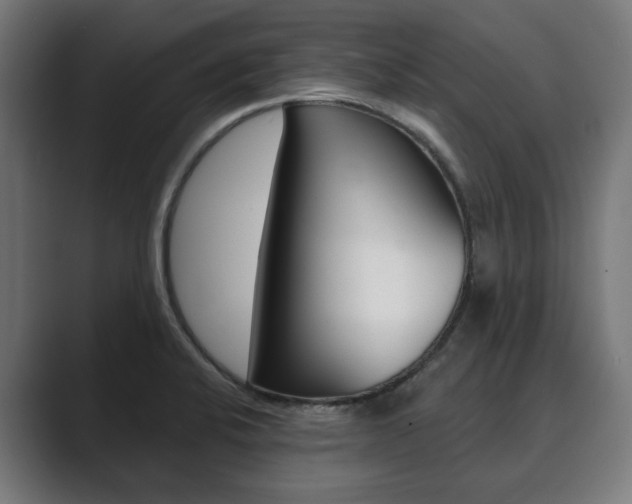 X0000089901424200706281127