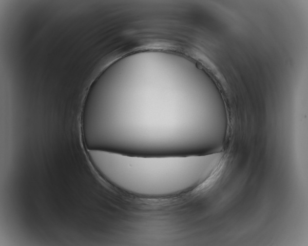 X0000089901425200706281127