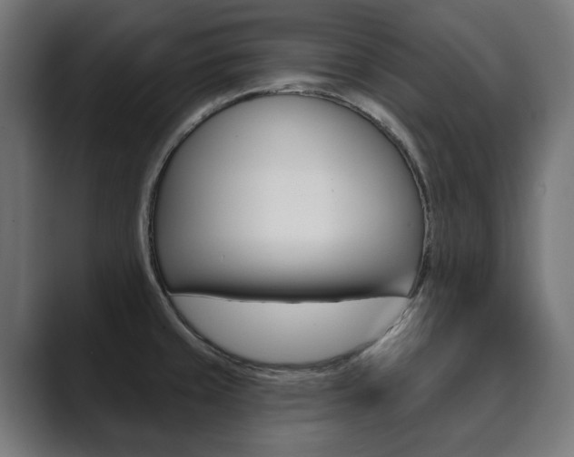X0000089901429200706281127