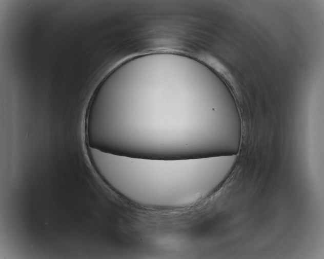 X0000089901431200706281127