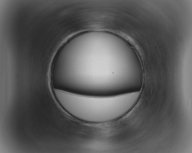 X0000089901432200706281127