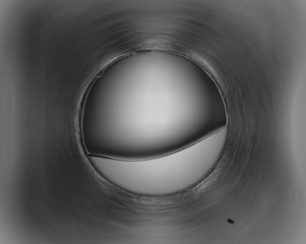 X0000089901434200706281127