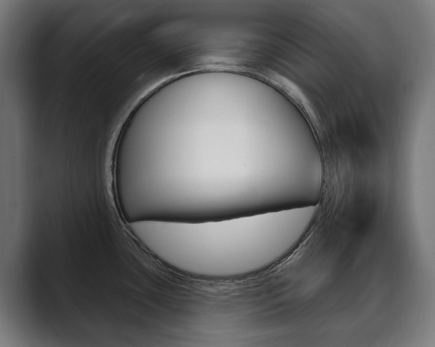 X0000089901435200706281127