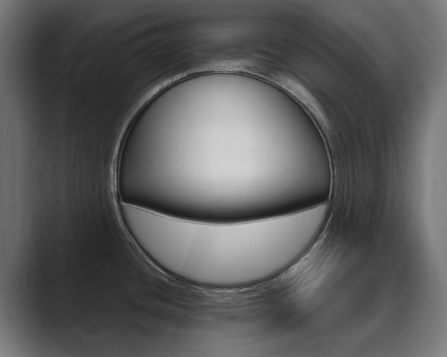 X0000089901436200706281127