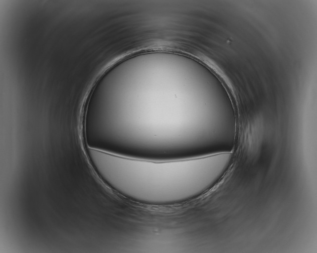X0000089901437200706281127