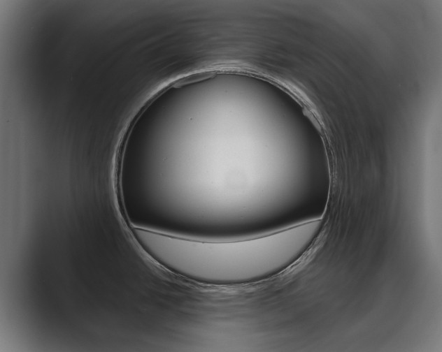 X0000089901438200706281127